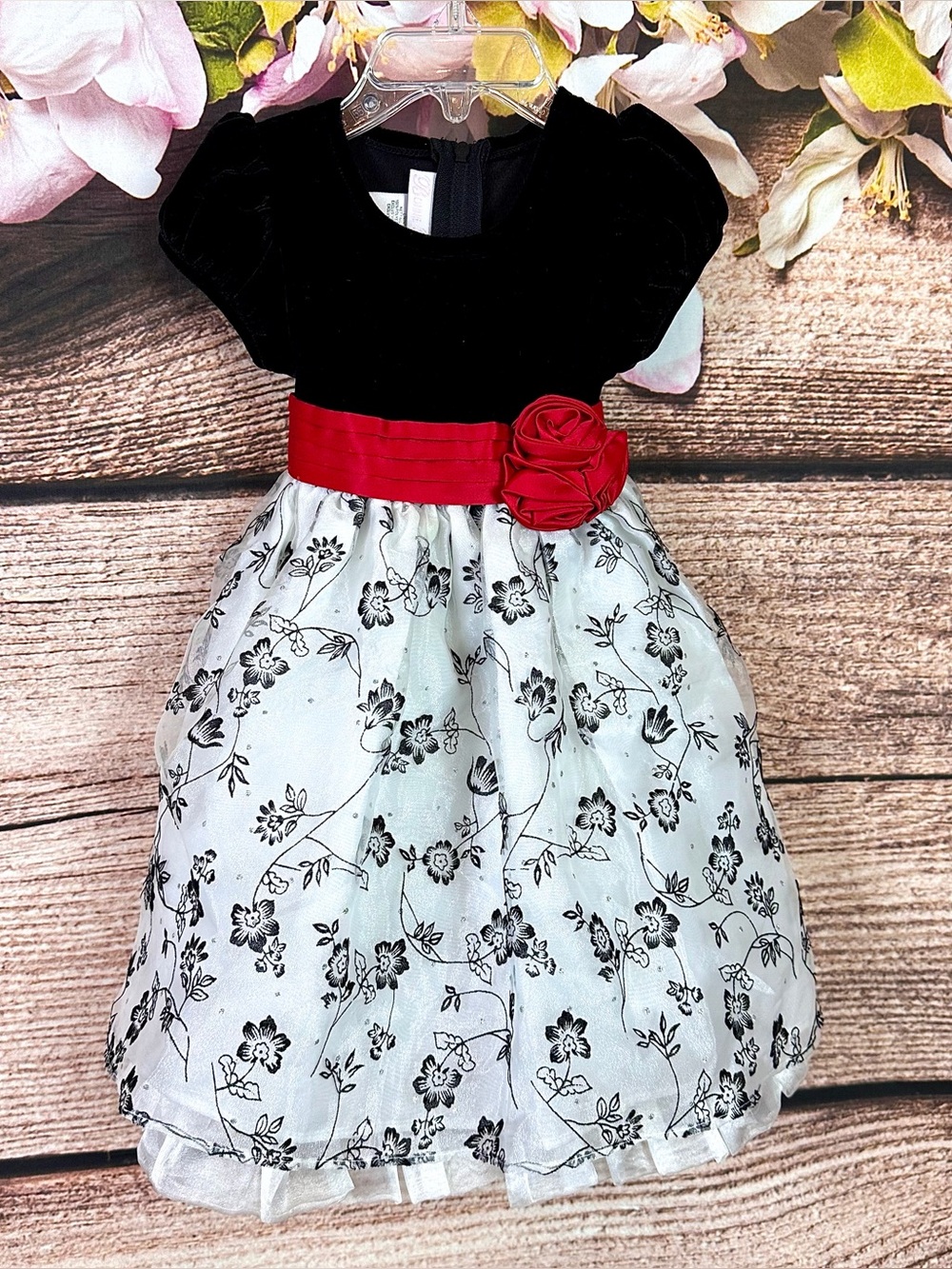 Bonnie Baby Girls Floral Chiffon Red Mesh Bow Black White Formal Dress 18M